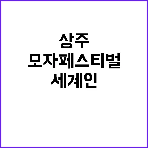 상주모자 페스티벌 …