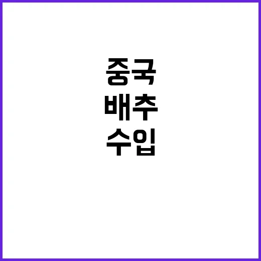 수입배추 최대 11…