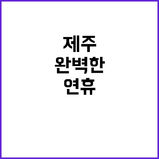 제주 40만명 방문! 완벽한 연휴 계획은?