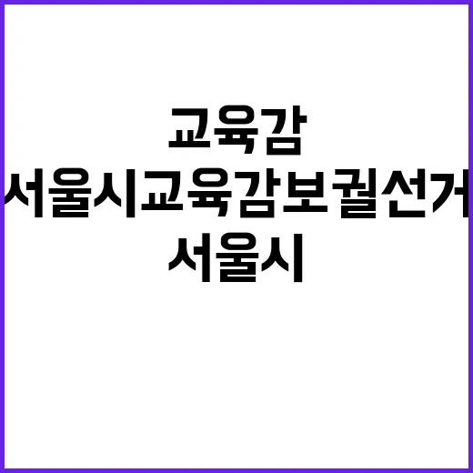 서울시 교육감 보궐선거 당신의 한 표!