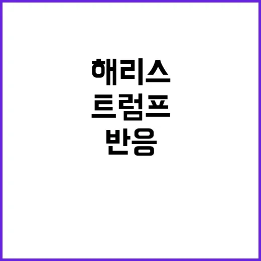 트럼프 해리스 공격…