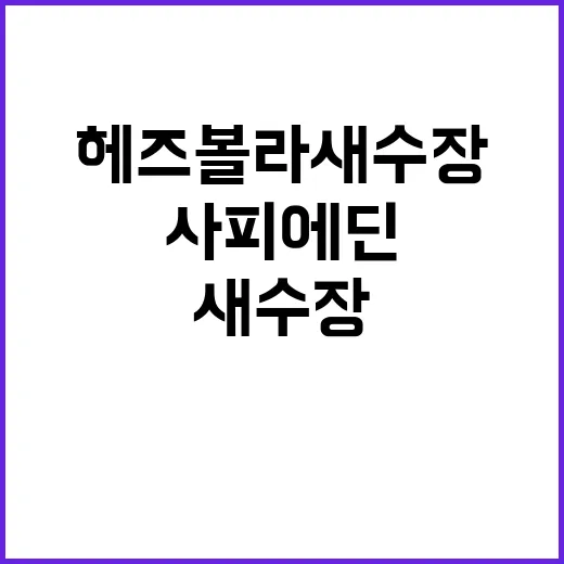 헤즈볼라 새 수장 …