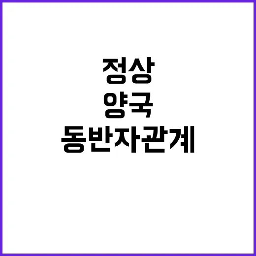 정상회담 양국 전략…