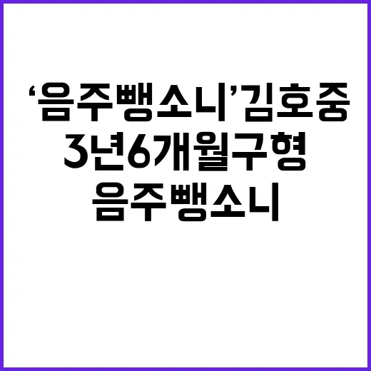 ‘음주뺑소니’ 김호…