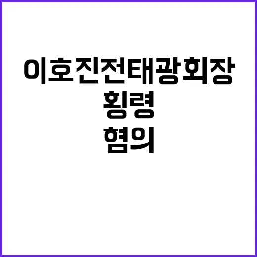 횡령 혐의 이호진 …