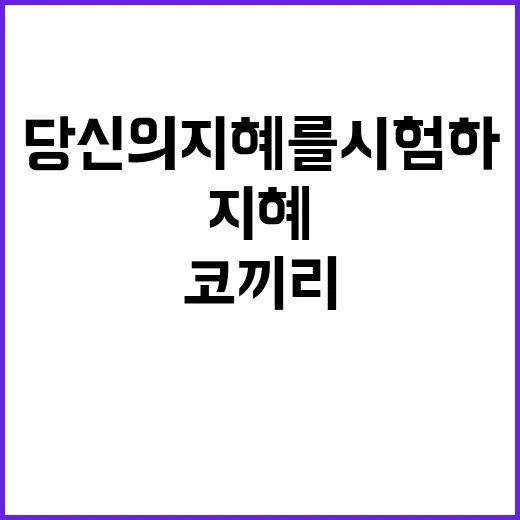 코끼리 문제 당신의…