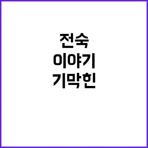 ‘전숙씨’ 출연작 500편 그녀의 기막힌 이야기!