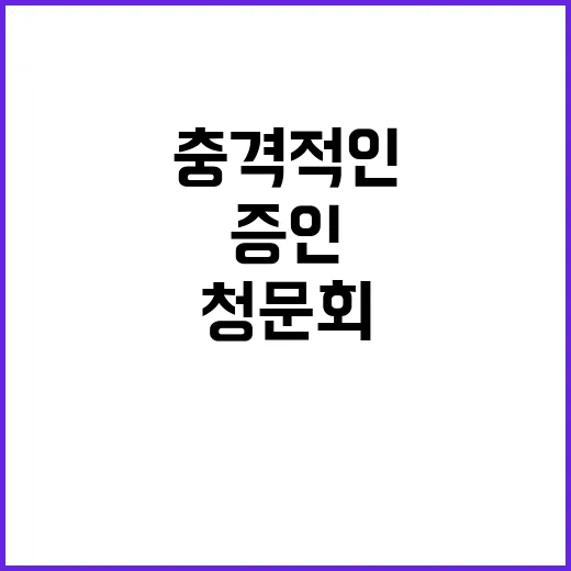 증인 고통 법사위 청문회의 충격적인 반전!