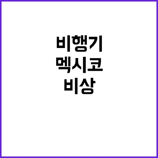 비행기 멕시코 비상…