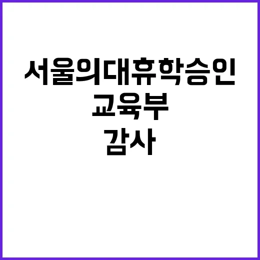 서울의대 휴학 승인…