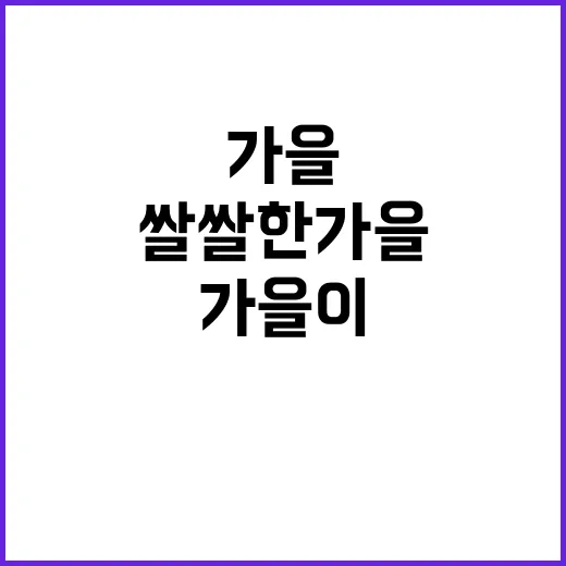 비가 올 예정 쌀쌀…