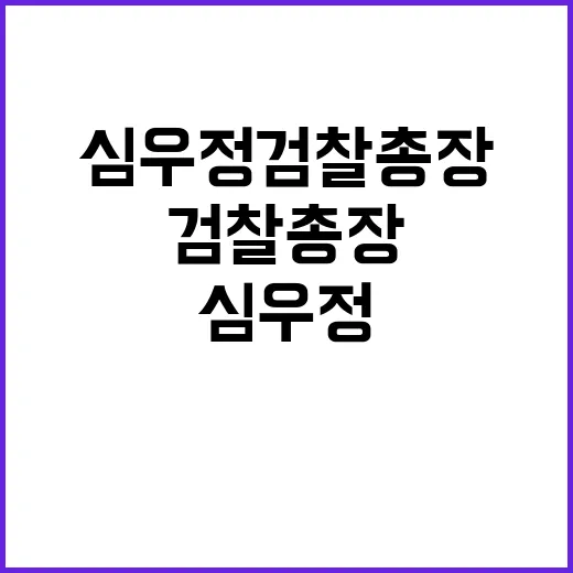 대검 심우정 검찰총…