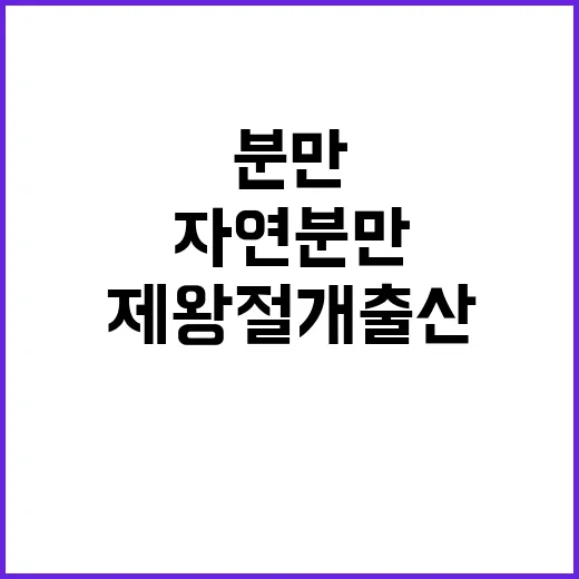 제왕절개 출산 자연…