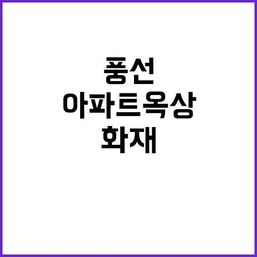 풍선 불법 착륙 아…