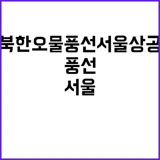 북한 오물 풍선 서울 상공을 덮치다!