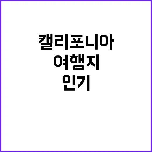 캘리포니아 여기가 …