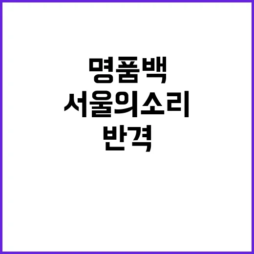 명품백 고발인 서울의 소리의 법적 반격!