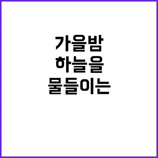 가을밤 불꽃 하늘을…