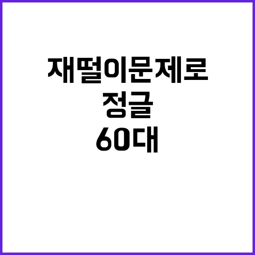 정글 60대 재떨이…