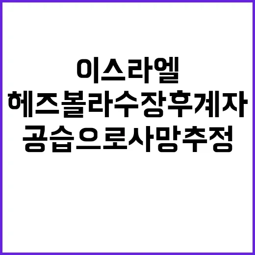 헤즈볼라 수장 후계자 이스라엘 공습으로 사망 추정