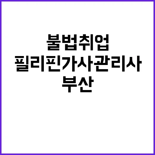 잠적 필리핀 가사관리사 부산 불법 취업 검거!