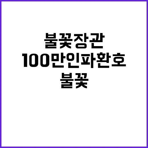 불꽃 장관 100만…