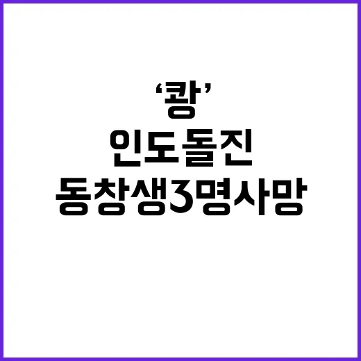 ‘쾅’ 인도 돌진 동창생 3명 사망 소식!