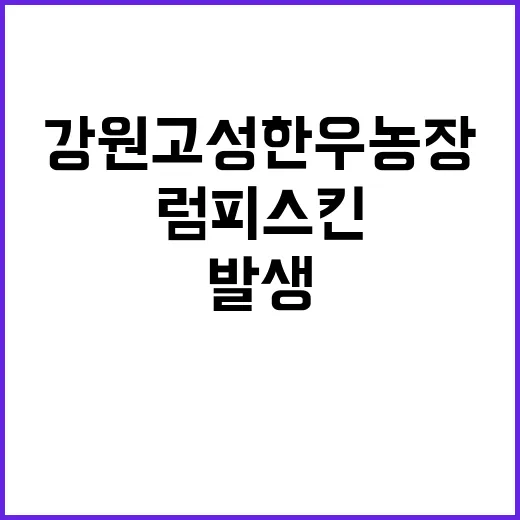 럼피스킨 발생 강원…