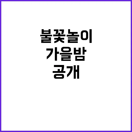 불꽃놀이 가을밤의 …