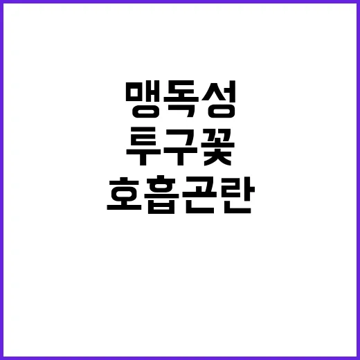 투구꽃 맹독성 뿌리 먹고 호흡곤란 발생!