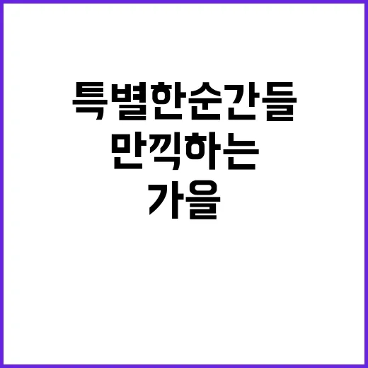 가을 도심에서 만끽…