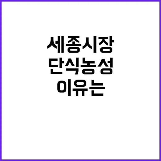 단식농성…세종시장의…