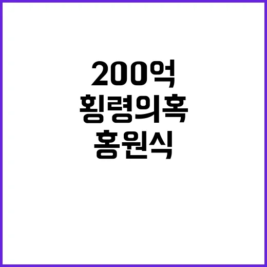 홍원식 200억 횡…