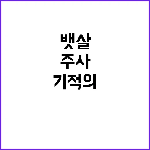 주사 한방에 뱃살 …