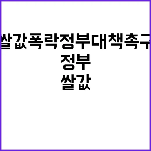 쌀값 폭락 정부 대…