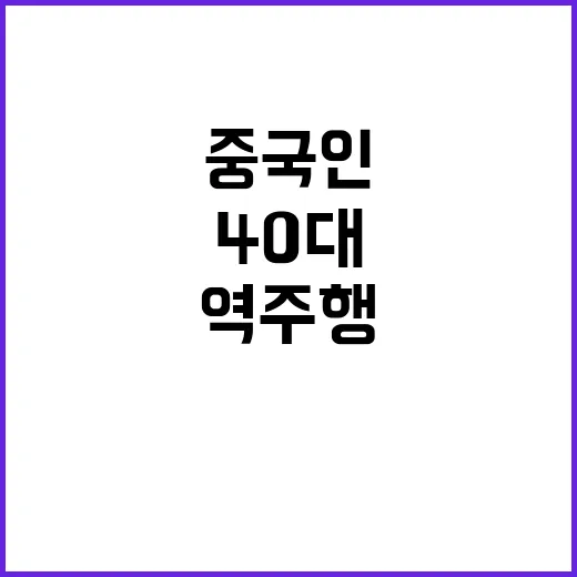 역주행 사고 40대 중국인 사망 소식!