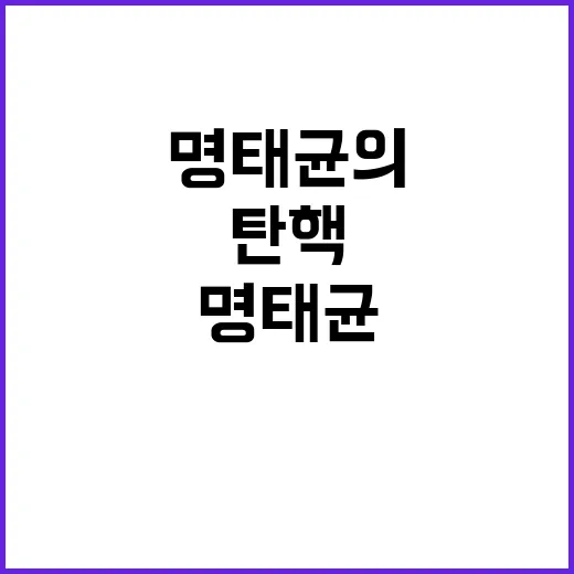 탄핵? 명태균의 협…