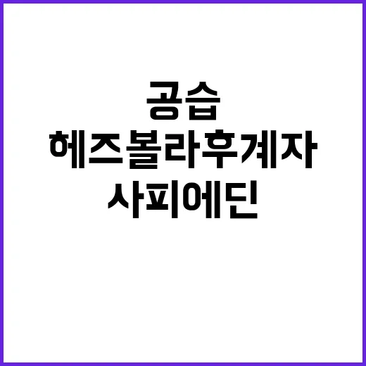 헤즈볼라 후계자 제…