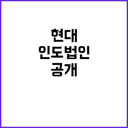 현대차 IPO 인도…