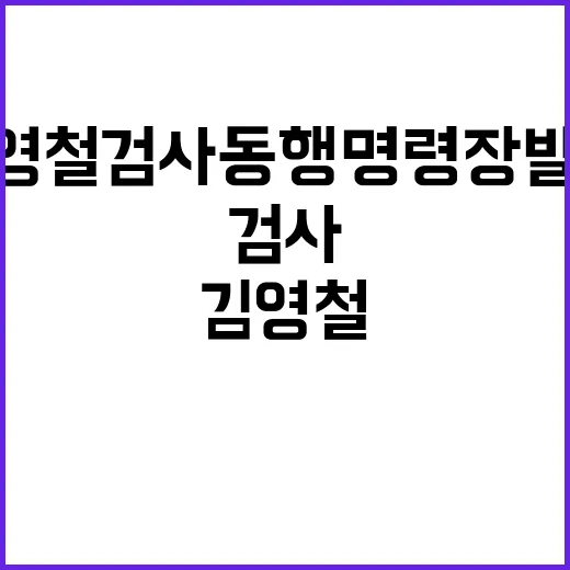 법사위원장 김영철 검사 동행명령장 발부 소식!