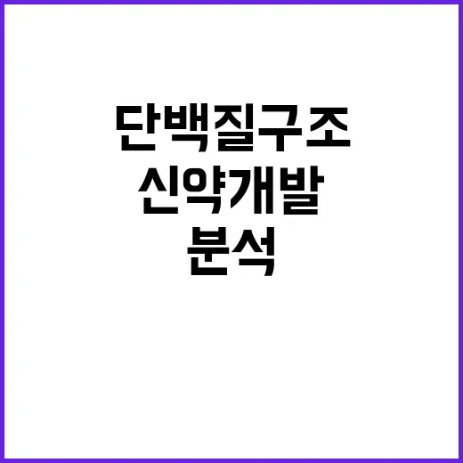 단백질 구조 분석 …