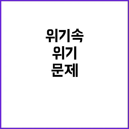 위기 속 금 문제 …