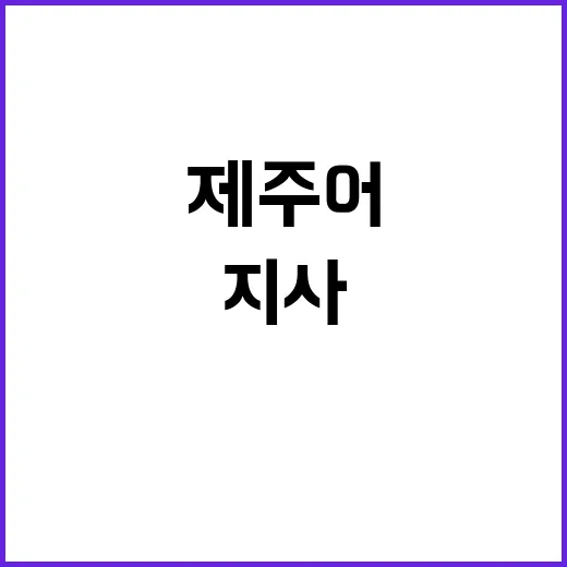 제주어 소멸 위기 …