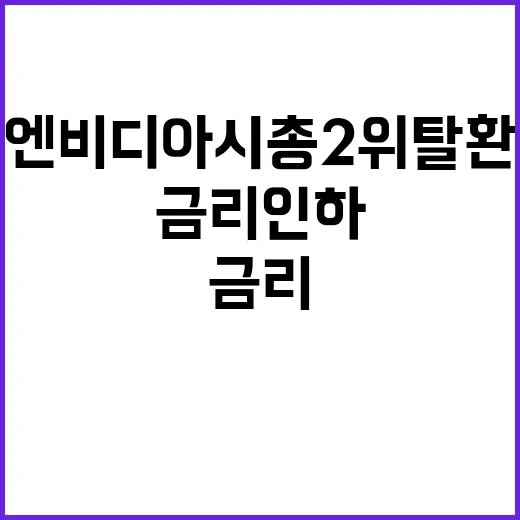 금리 인하 엔비디아…