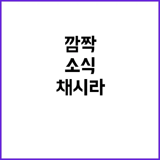 채시라 서울무용제 …