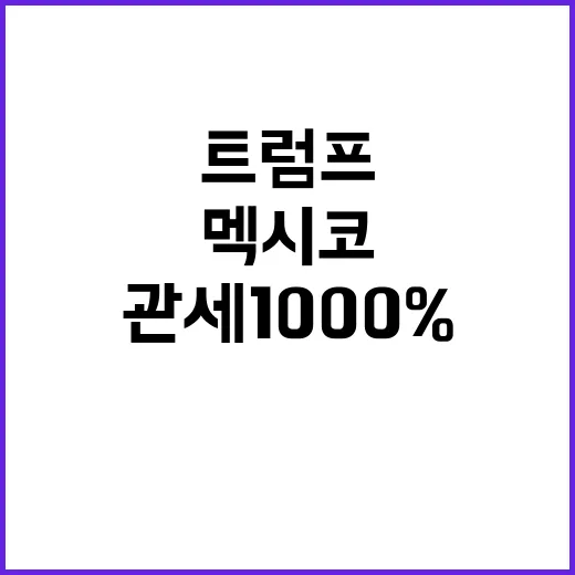 관세 1000% 트…