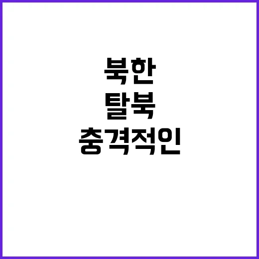 “북한 실상 탈북 …