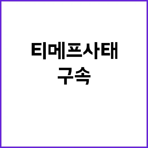 티메프 사태 구속 …