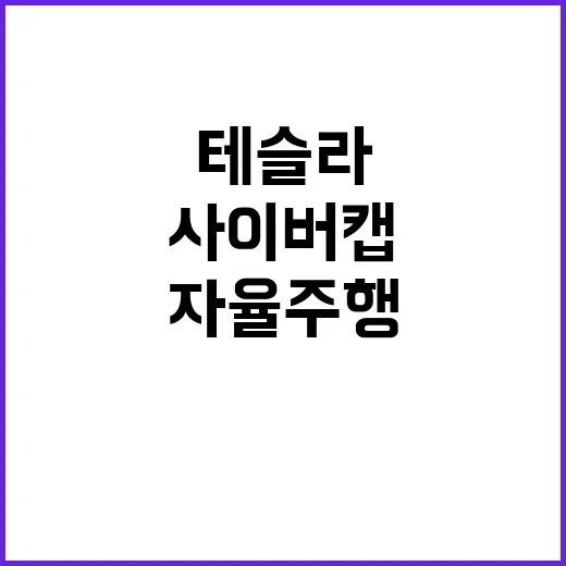 사이버캡 테슬라 자…