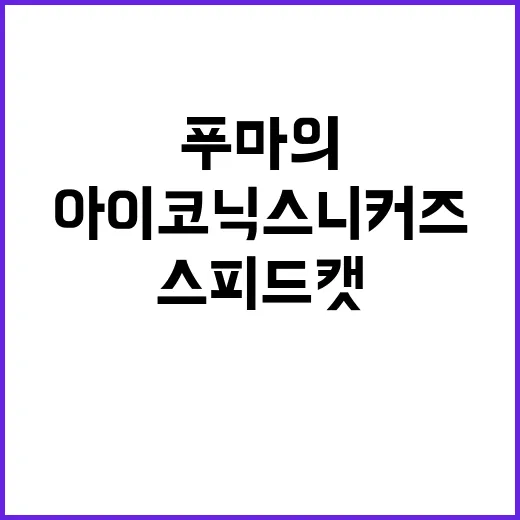 스피드캣 아카이브 …